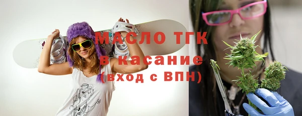 амф Каменка