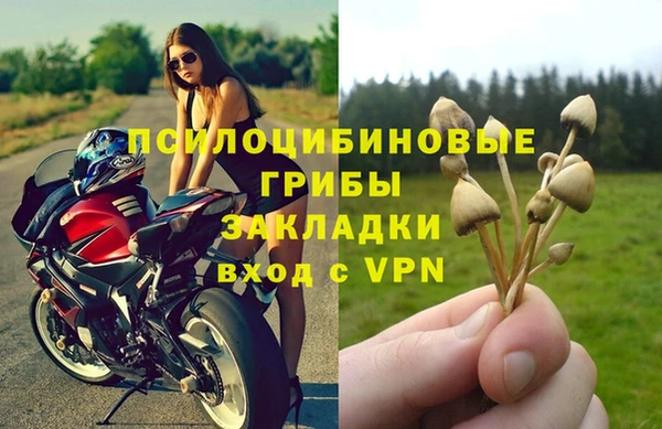 сатива Алексеевка