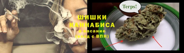 сатива Алексеевка