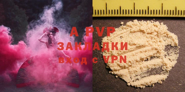 крисы Алексин