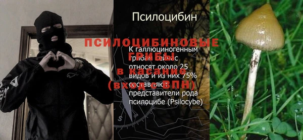 сатива Алексеевка